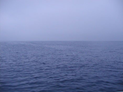 La baleine